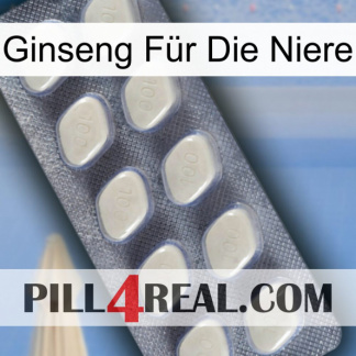 Ginseng Für Die Niere 08
